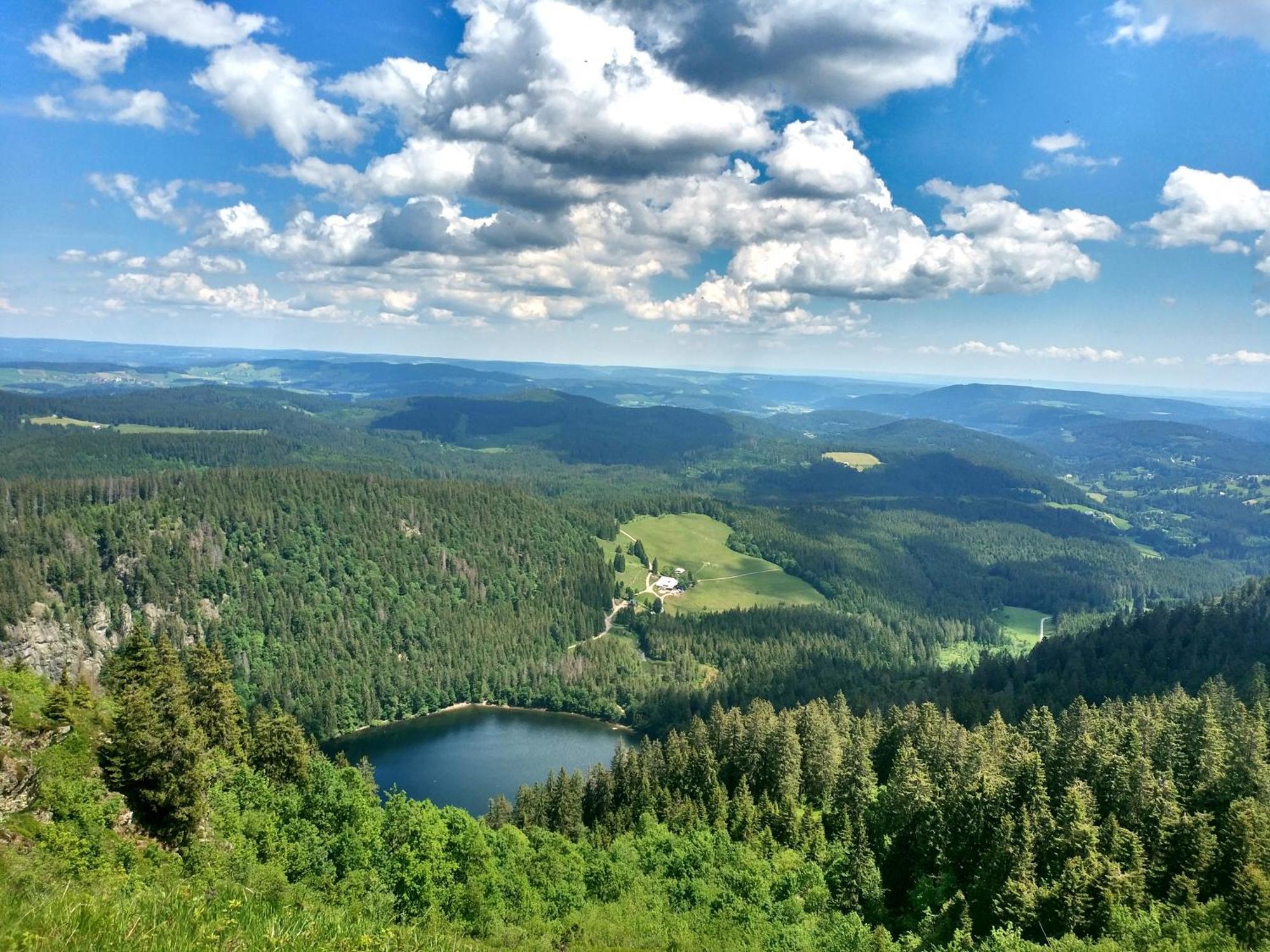 Ferienwohnung Seeblick Nr 2 5-Zimmerwohnung - Feldberg Baerental Rotwasser Esterno foto