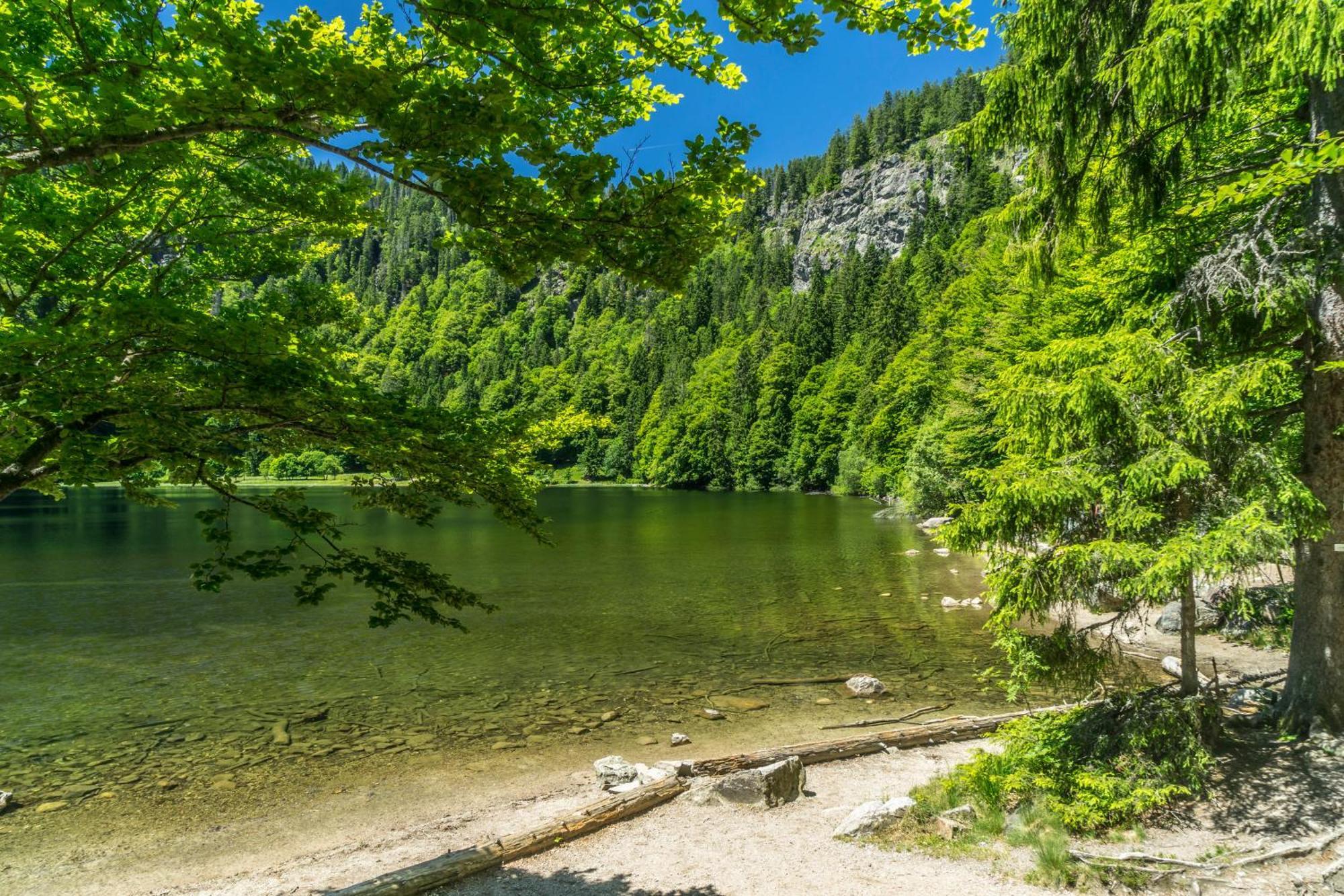 Ferienwohnung Seeblick Nr 2 5-Zimmerwohnung - Feldberg Baerental Rotwasser Esterno foto
